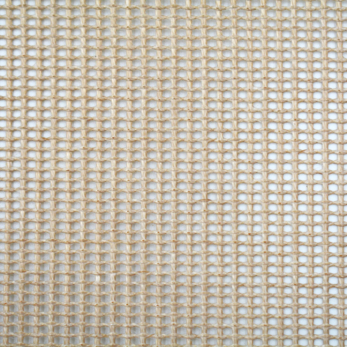 PTFE Glass Mesh 1256